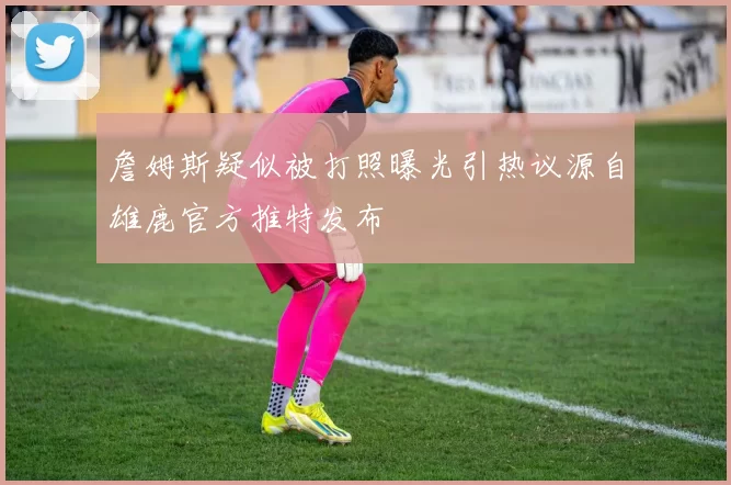 詹姆斯疑似被打照曝光引热议源自雄鹿官方推特发布